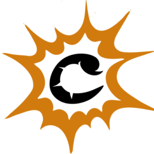 Touche Critique logo